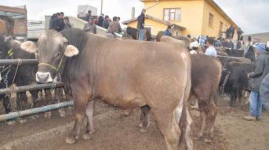 Yozgat&rsquo;ta bayram arefesinde kurban pazarı canlandı