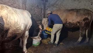 Ateş ve Paşa Guinness'e hazırlanıyor: 1750 kilo