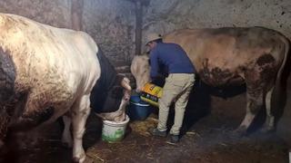 Tartı kıran ikili! Ateş ve Paşa Guinness'e hazırlanıyor: Biri 1750 diğeri 1450 kilo