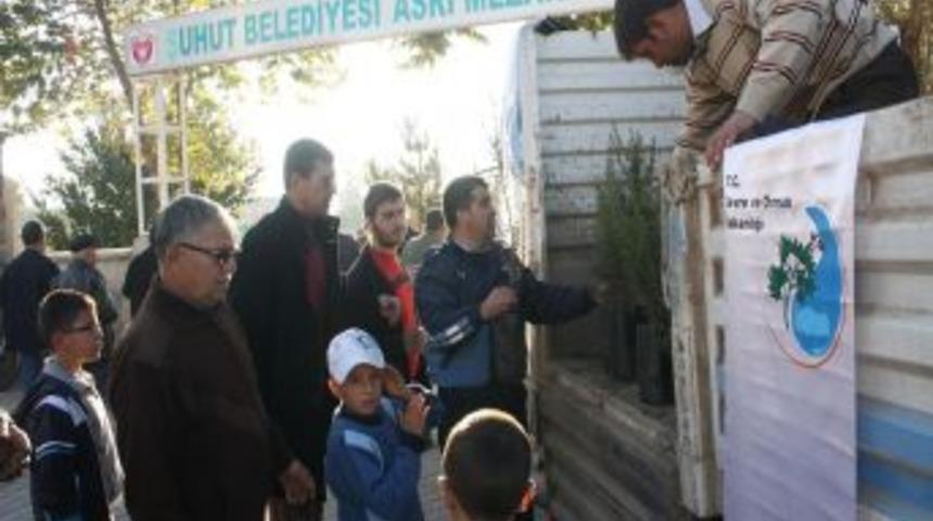 Şuhut Asri Mezarlığı'nda 1000 adet &ccedil;am fidanı dağıtıldı