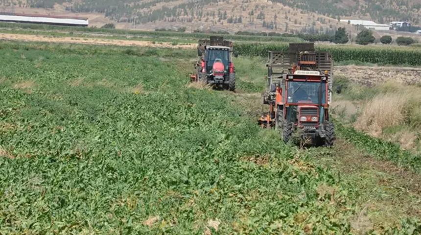 Gaziantep'te şeker pancarı hasadı s&uuml;r&uuml;yor