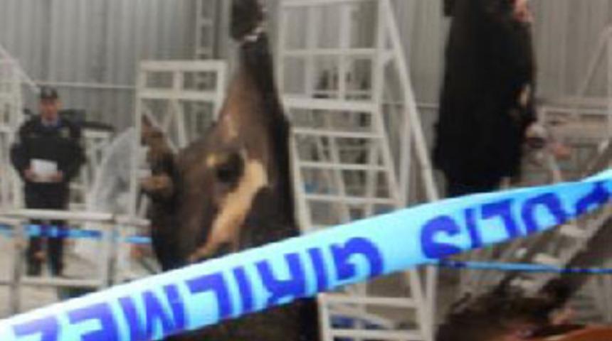 Kurban kesim alanında facia: 1 &ouml;l&uuml;