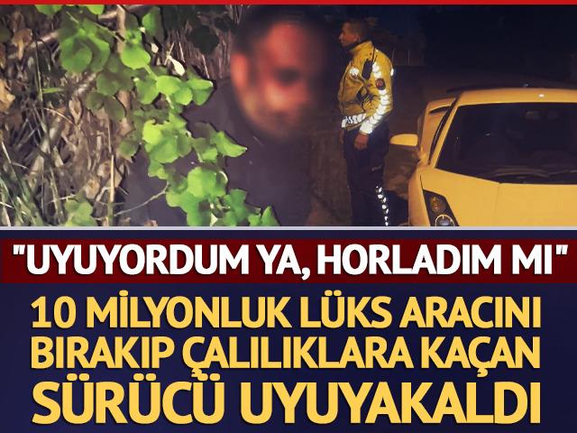 L&uuml;ks aracını bırakıp &ccedil;alılıklara ka&ccedil;an s&uuml;r&uuml;c&uuml; uyuyakaldı
