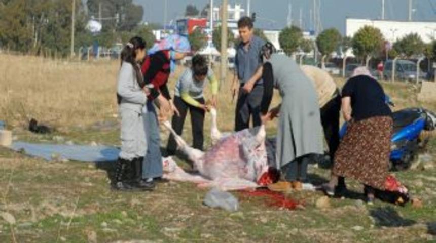 İzmir'de Kurban Bayramı coşkuyla eda ediliyor