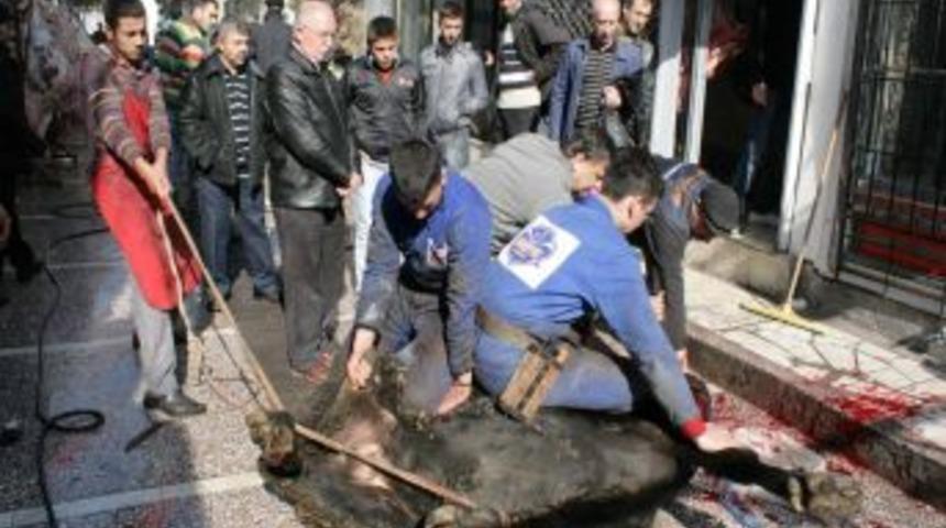 Kurban Bayramı Afyonkarahisar&rsquo;da coşkuyla kutlanıyor