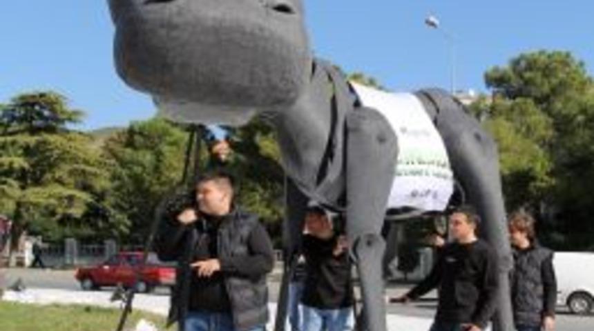 'Anadolu Eşeği' Muğla&rsquo;ya ulaştı