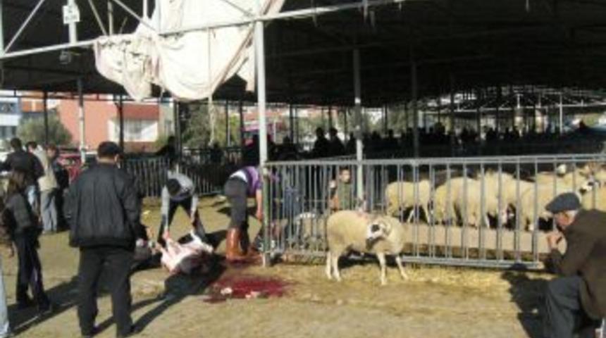 Edremit'te bir yandan kurbanlıklar satılırken bir yandan kesim yapıldı