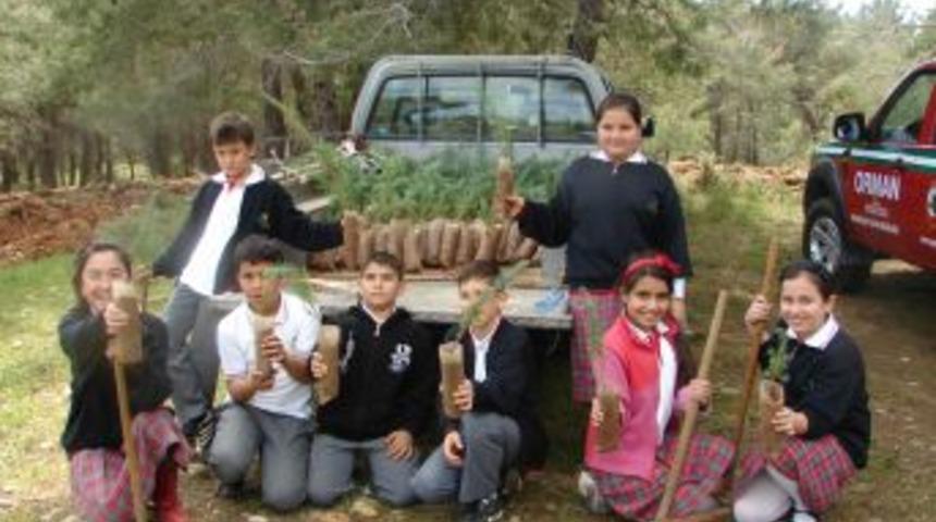 Manavgat Orman İşletme M&uuml;d&uuml;rl&uuml;ğ&uuml;, &uuml;cretsiz fidan dağıtacak