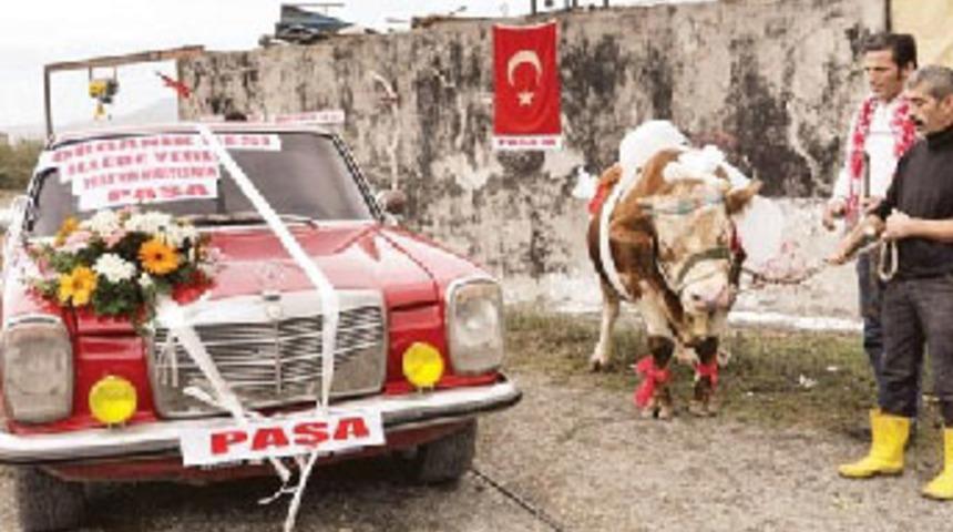 Paşa'nın promosyonu Mercedes otomobil