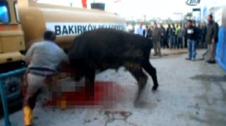 B&ouml;yle vahşet g&ouml;r&uuml;lmedi