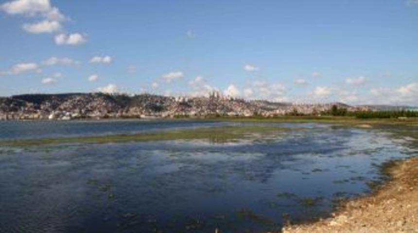 Kent, su kuşlarının uğrak yeri oldu