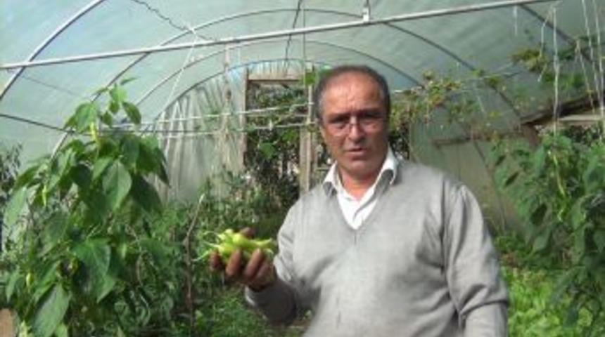 Alternatif ürün için çalmadık kapı bırakmadı