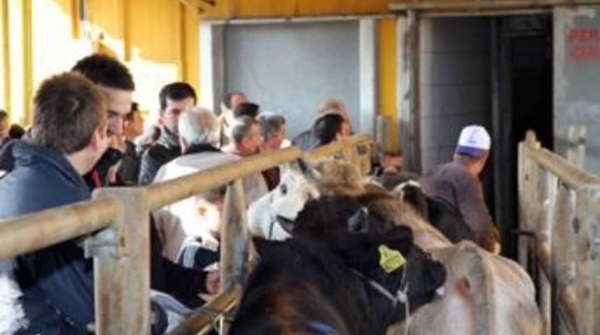 İlk g&uuml;nde 650 kurban kesildi