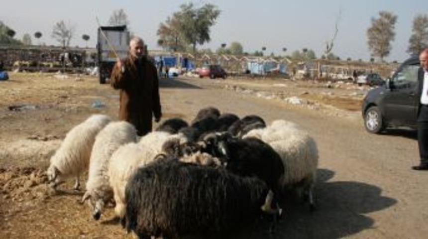 Kurbanı elinde kalan satıcının kombina isyanı