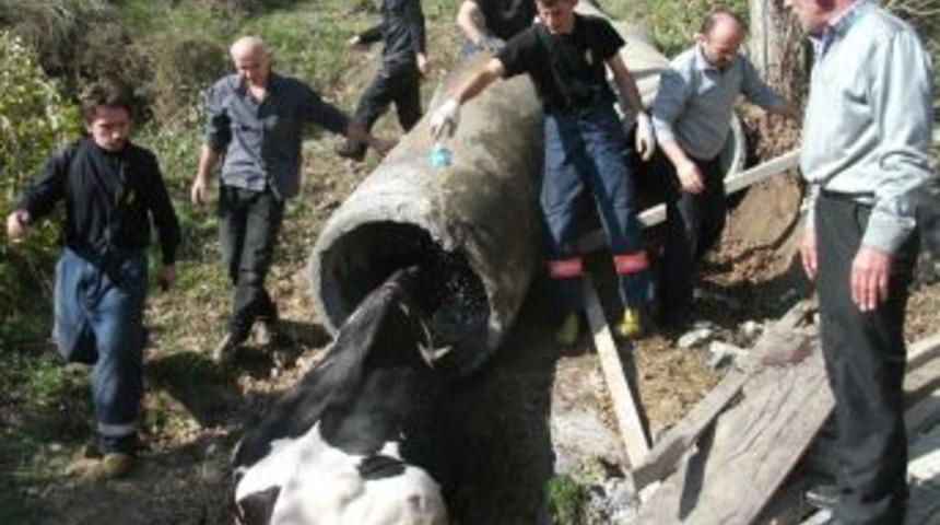 Su kanalında sıkışan kara kız itfaiye operasyonuyla kurtarıldı