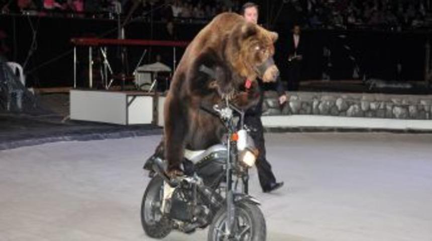 B&uuml;y&uuml;k Ankara Sirki'ne yoğun ilgi