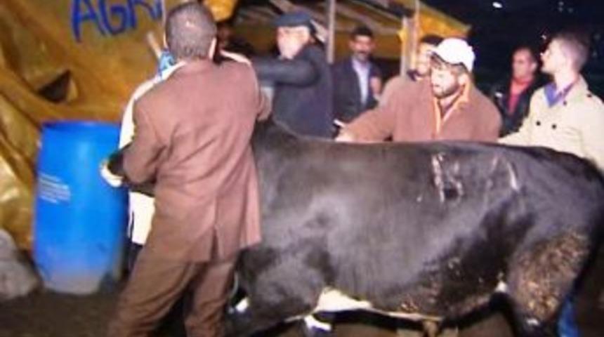 'Av Mevsimi'nin cinayet masası dedektifinin kurbanlık kavgası