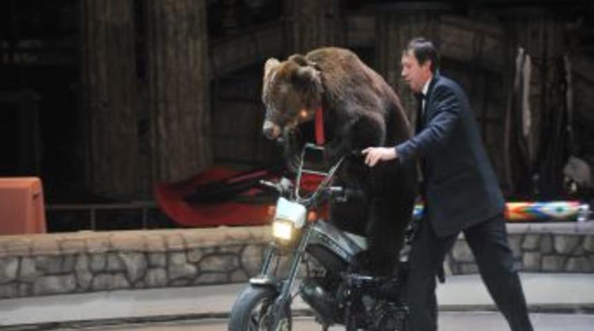 Başkent'te sirk coşkusu s&uuml;r&uuml;yor