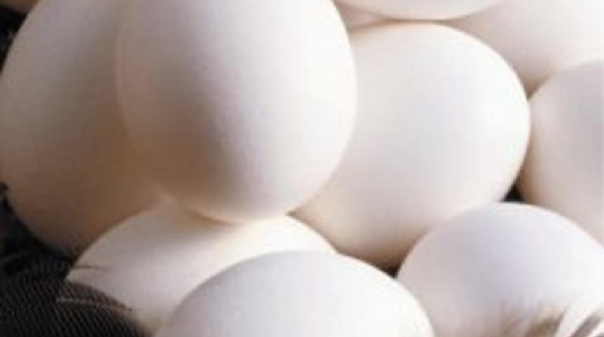 Tavuklar d&ouml;viz yumurtladı, yumurta ihracatı rekora koşuyor
