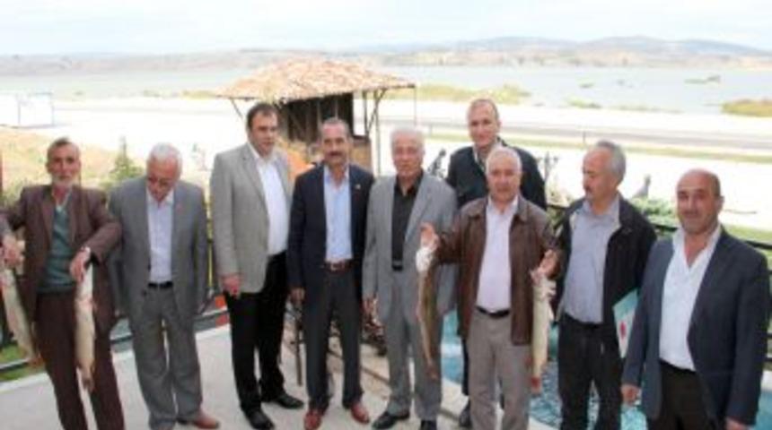 Turna balığı koruma altına alınıyor