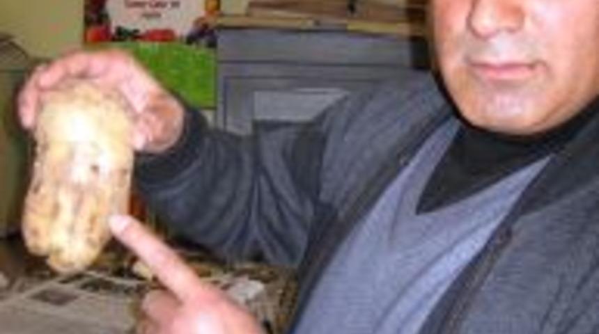 Patates &uuml;st&uuml;nde Arap&ccedil;a yazı