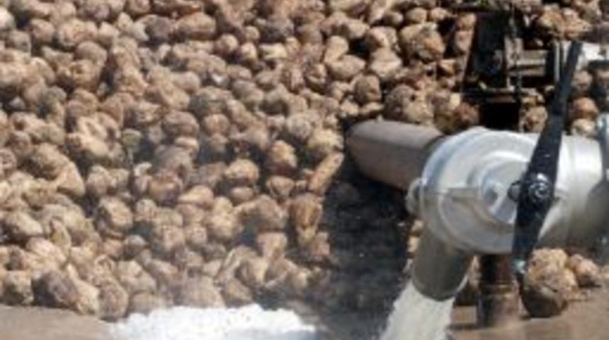 Elbistan Şeker Fabrikası, aldığı 350 bin ton pancarın 236 bin tonunu işledi