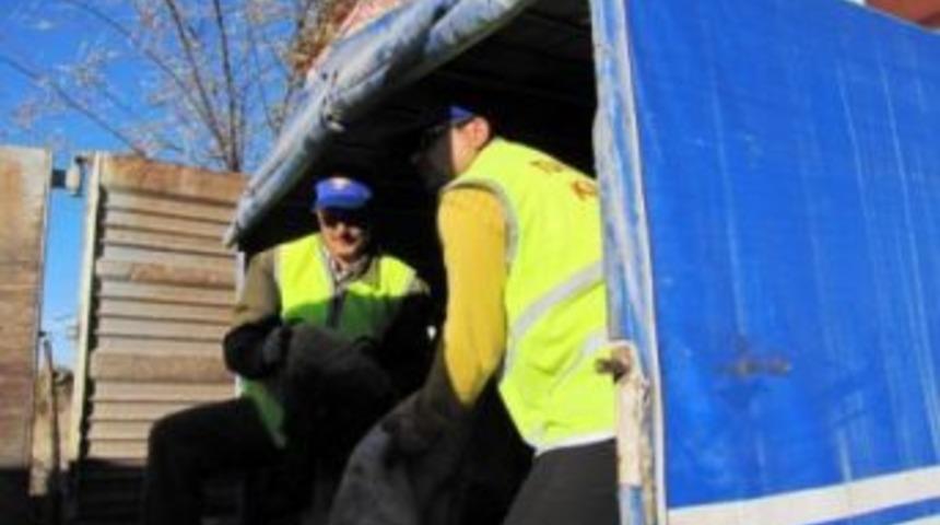 Hisarcık'ta kurban derileri satıldı