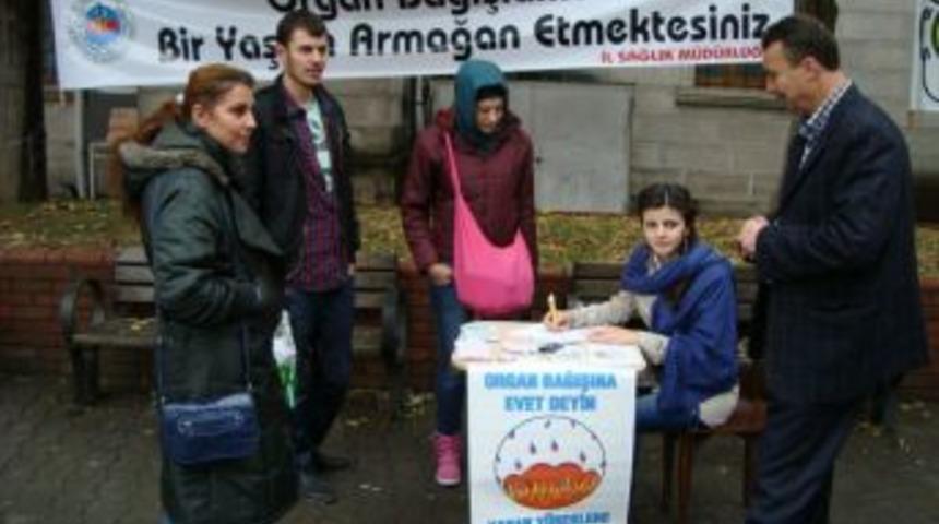 Organ bağiışında bulundular