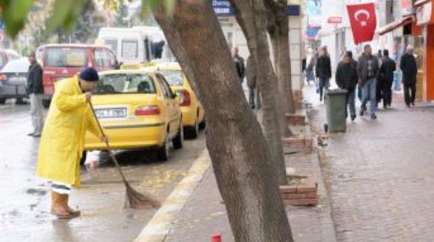 &Ccedil;&ouml;p&ccedil;&uuml;lerin istediği oldu, şehre yaprak d&ouml;kmeyen ağa&ccedil;lar dikiliyor