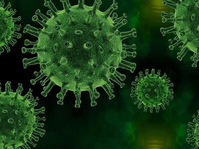 Veba geri mi d&ouml;n&uuml;yor? Uzmanı uyardı: Bu belirtilere dikkat