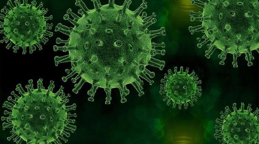 Veba geri mi d&ouml;n&uuml;yor? Uzmanı uyardı: Bu belirtilere dikkat