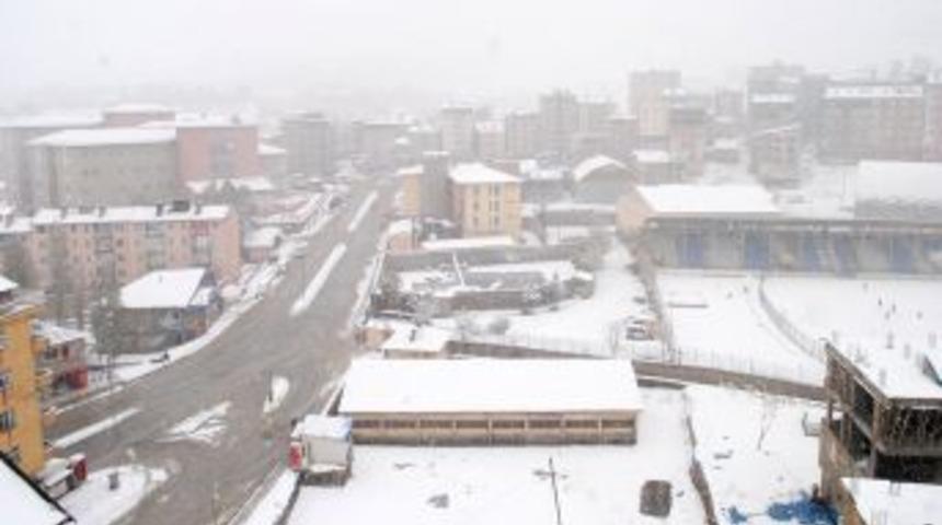 Kar yağışı Hakkari'de etkili oldu