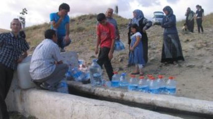 &Ccedil;oban &ccedil;eşmelerinin yalnızlığını piknik&ccedil;iler gideriyor