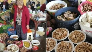 Son dakika: Bolu ormanlarında bereket: Kova kova toplanıyor, kilosu 600 lirayı buluyor