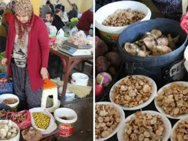 Sabahın ilk ışıklarında peşine d&uuml;ş&uuml;yorlar: Kilosu 600 lira