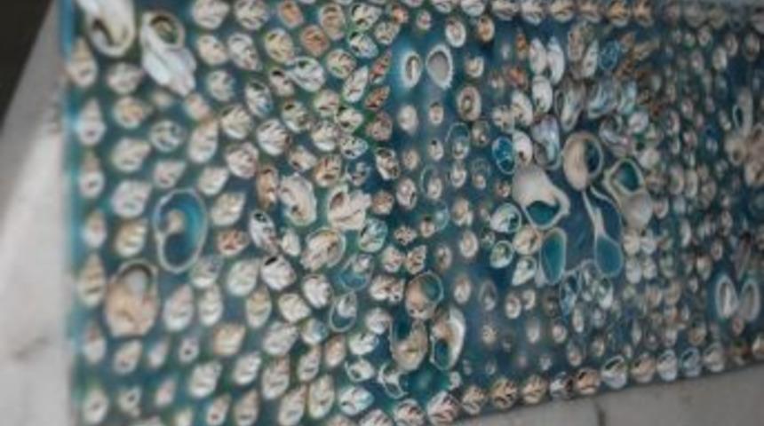 Meyve &ccedil;ekirdekleri s&uuml;s eşyası ve şık takıya d&ouml;n&uuml;şt&uuml;