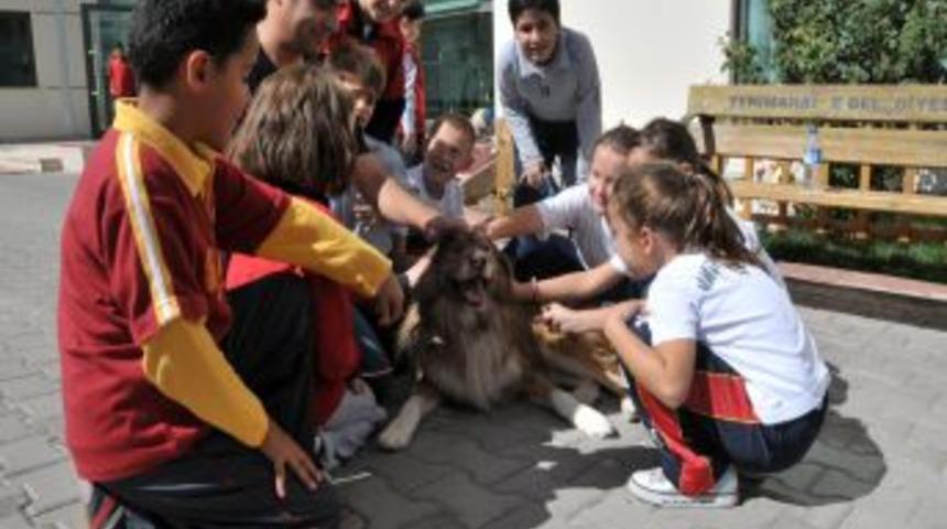 Yenimahalle'de sosyal projeler yarışacak