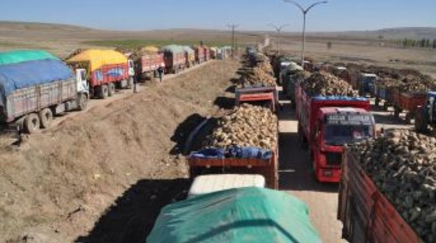 Boğazlıyanlı pancar &uuml;reticileri C kotası mağduru