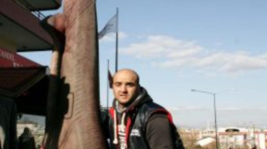 Bursa&rsquo;da altı yarıklı canavar k&ouml;pek balığı yakalandı