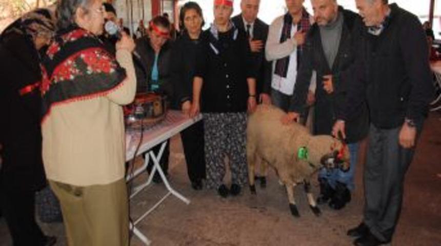 Aleviler, Kerbela şehitleri için 5 bin kase aşure dağıttı