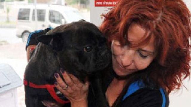 Leon'u Sarıgül kurtardı