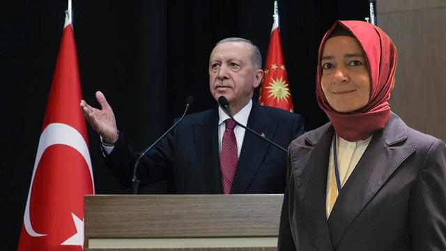 AK Partili eski vekilden ses getirecek 'fon krizi' çıkışı: Millet Reis'ten onu bekliyor