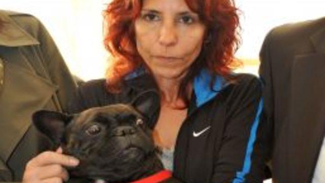 Antalya'da haczedilen köpek