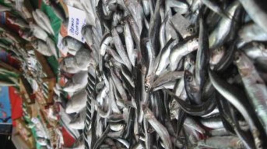 Kurban bayramını durgun ge&ccedil;iren balık&ccedil;ılar hareketlilik bekliyor