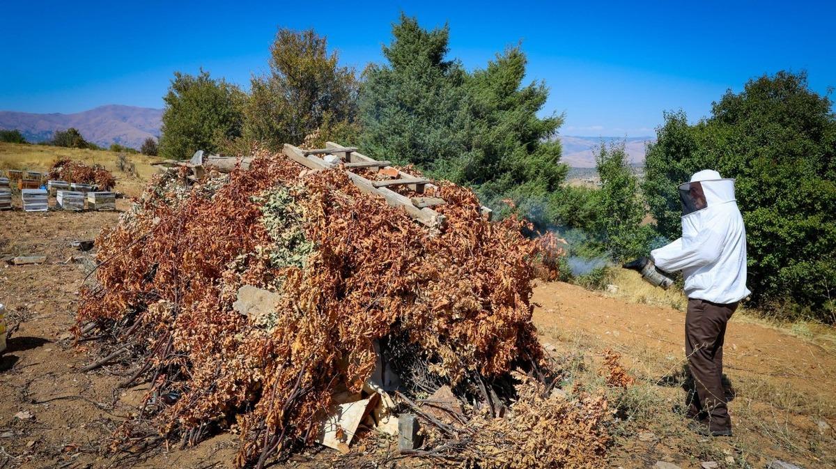 Dedelerinden kalan 60 yıllık kovanlarda üretiyor! Kilosu 3 bin TL 3