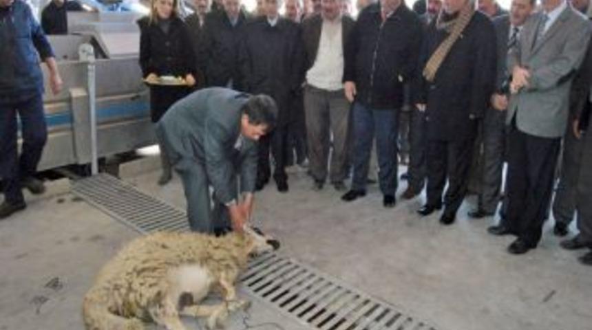 Protokol a&ccedil;ılışta kurban edilecek koyunun kıblesini şaşırdı.