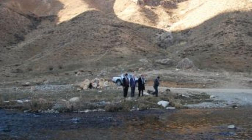 Hakkari arı ormanı ile kalkınacak