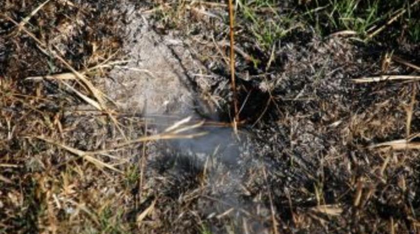 Kuş cenneti, şimdi 2 aydır yanıyor