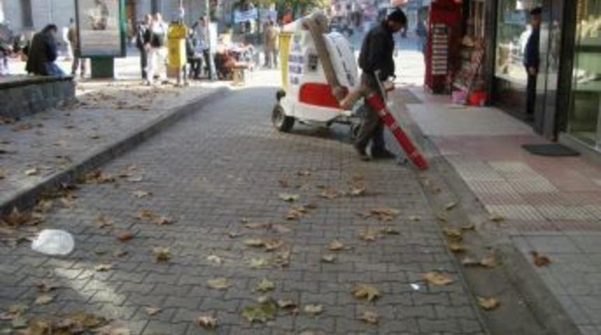 Alaplı'da yaprak seferberliği