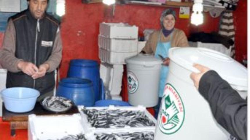 Balık kokusuna kovalı &ccedil;&ouml;z&uuml;m